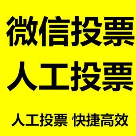 阜新市投票活动拉票能被查出来吗？如何操作能不被发现？